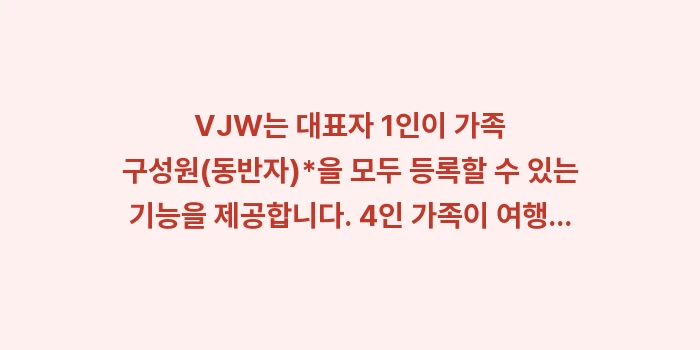 오키나와 나하 공항 입국 심사: VJW는 대표자 1인이 가족... (1)