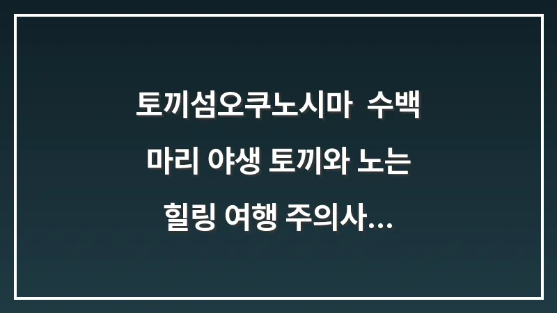 토끼섬(오쿠노시마): 수백 마리 야생 토끼와 노는 힐링 여행 주의사항 및 팁 대표 이미지
