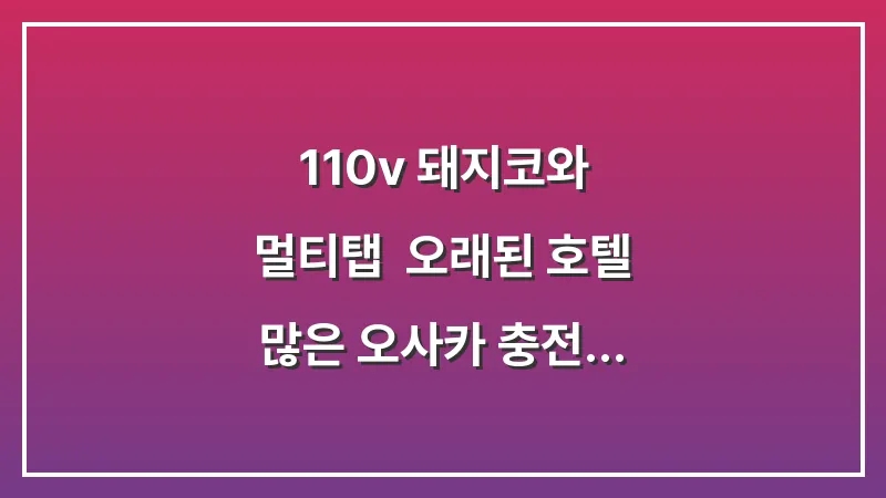 110v 돼지코와 멀티탭: 오래된 호텔 많은 오사카 충전 콘센트 팁 대표 이미지