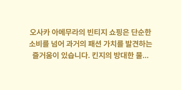 오사카 빈티지 구제 쇼핑: 오사카 아메무라의 빈티지 쇼... (2)