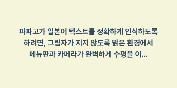 일본 오키나와 파파고 이미지 번역 팁: 파파고가 일본어 텍스트를 정... (1)