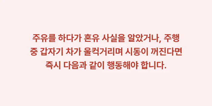 오키나와 렌트카 사고: 주유를 하다가 혼유 사실을... (1)