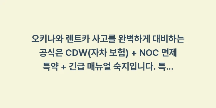 오키나와 렌트카 사고: 오키나와 렌트카 사고를 완벽... (2)