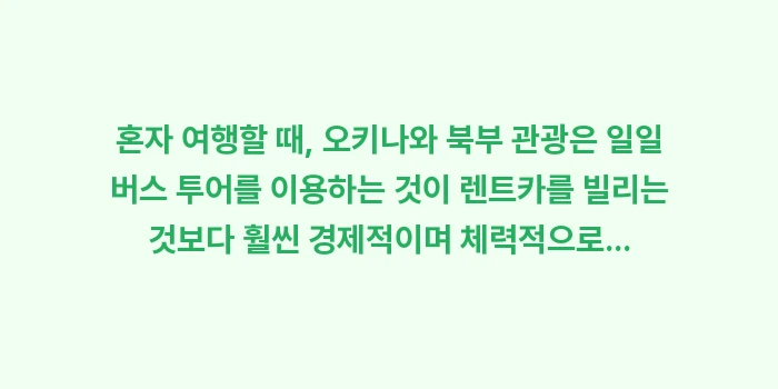 오키나와 렌트카 vs 버스 투어: 혼자 여행할 때, 오키나와... (2)