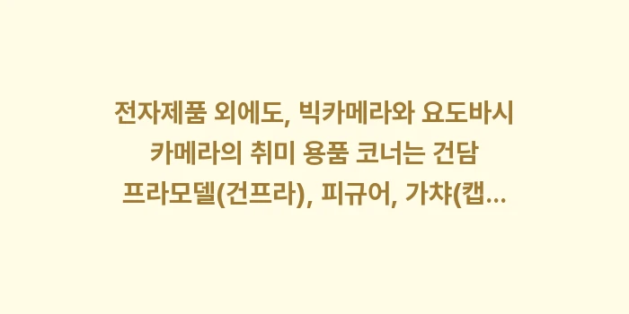 삿포로 빅카메라 요도바시 카메라: 전자제품 외에도, 빅카메라와... (1)