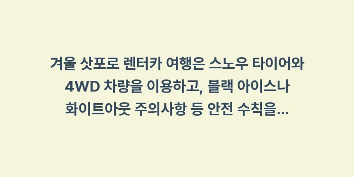 겨울 삿포로 렌터카 여행 괜찮을까: 겨울 삿포로 렌터카 여행은... (2)