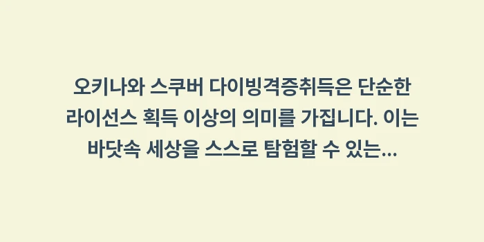 오키나와 스쿠버 다이빙 자격증: 오키나와 스쿠버 다이빙격증취... (1)