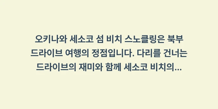 오키나와 세소코 섬 비치 스노클링: 오키나와 세소코 섬 비치 스... (1)