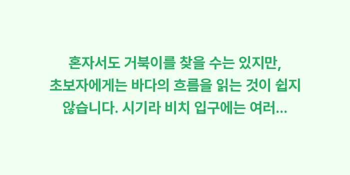 시기라 비치 스노클링: 혼자서도 거북이를 찾을 수는... (1)