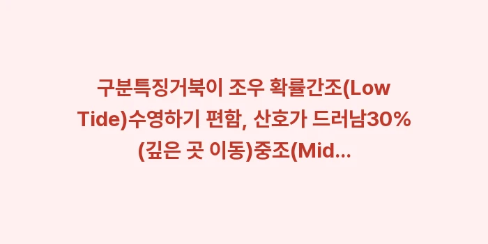 시기라 비치 스노클링: 구분특징거북이 조우 확률간조... (2)