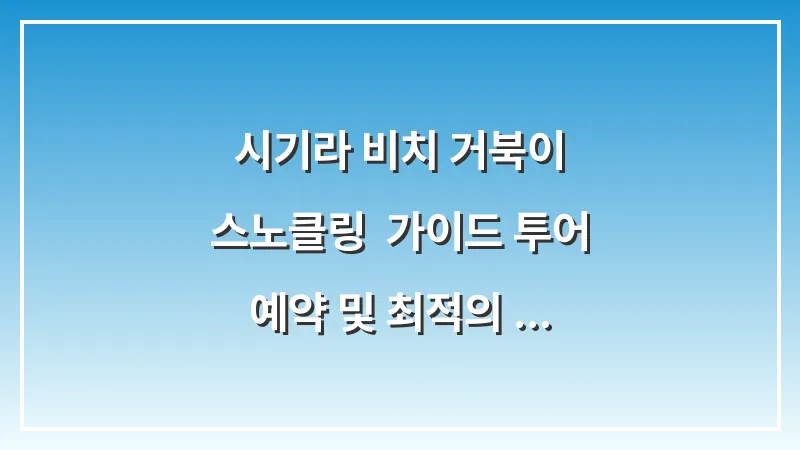 시기라 비치 거북이 스노클링: 가이드 투어 예약 및 최적의 시기 대표 이미지