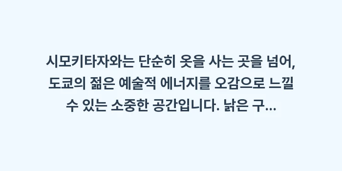 시모키타자와 빈티지 투어: 시모키타자와는 단순히 옷을... (1)