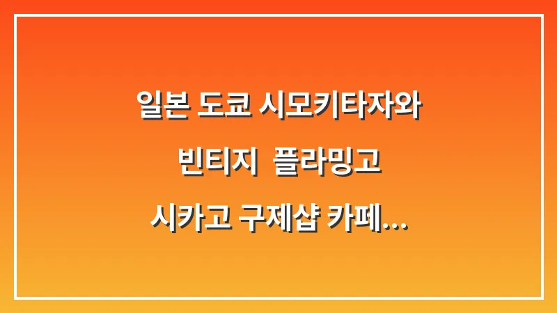 일본 도쿄 시모키타자와 빈티지: 플라밍고 시카고 구제샵 카페 추천 대표 이미지