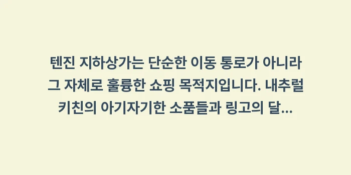 텐진 지하상가 쇼핑 지도: 텐진 지하상가는 단순한 이동... (2)