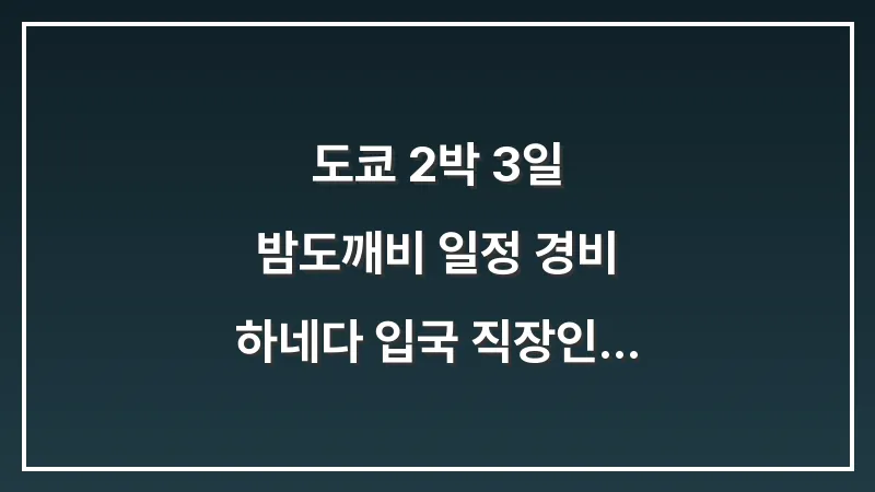 도쿄 2박 3일 밤도깨비 일정 경비: 하네다 입국 직장인 알짜 코스 완벽 가이드 대표 이미지
