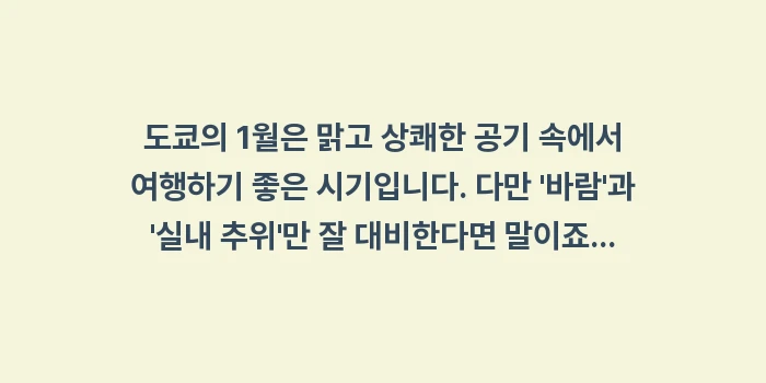 도쿄 1월 날씨: 도쿄의 1월은 맑고 상쾌한... (2)