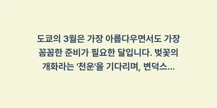 도쿄 3월 날씨: 도쿄의 3월은 가장 아름다우... (2)