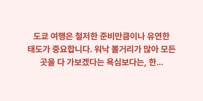 도쿄 여행: 도쿄 여행은 철저한 준비만큼... (2)