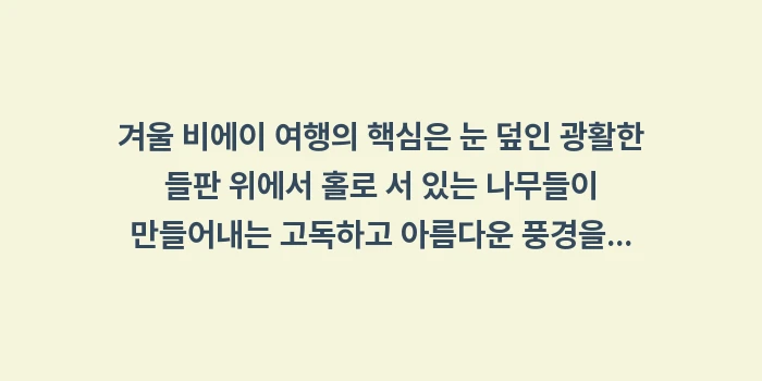 겨울 비에이 여행: 겨울 비에이 여행의 핵심은... (1)