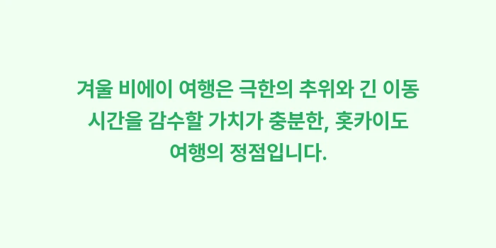 겨울 비에이 여행: 겨울 비에이 여행은 극한의... (2)