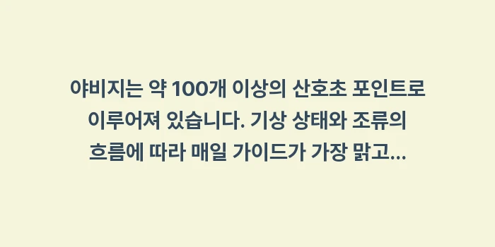 야비지 보트 스노클링: 야비지는 약 100개 이상의... (1)