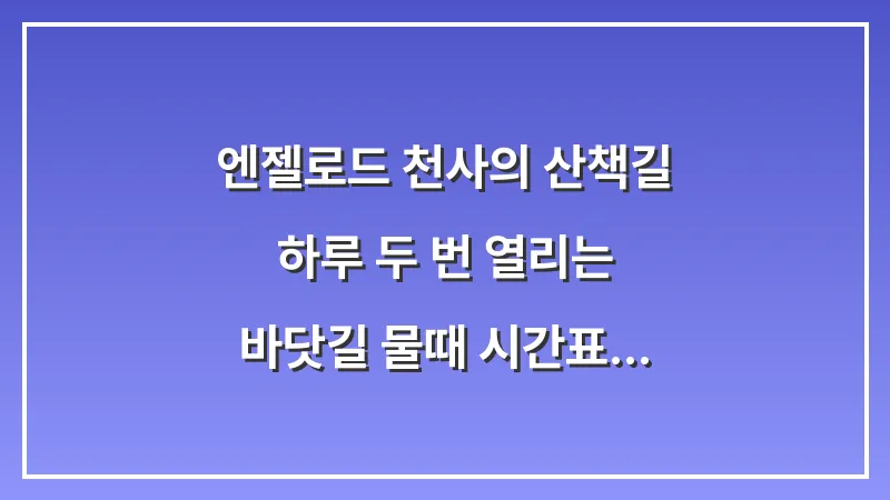 엔젤로드 (천사의 산책길): 하루 두 번 열리는 바닷길 물때 시간표 (2026년 가이드) 대표 이미지