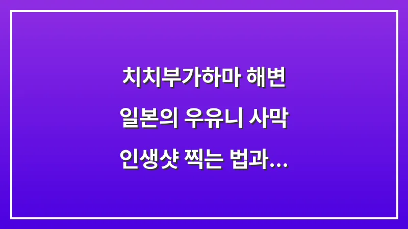 치치부가하마 해변: 일본의 우유니 사막 인생샷 찍는 법과 썰물 시간 (2026년 가이드) 대표 이미지